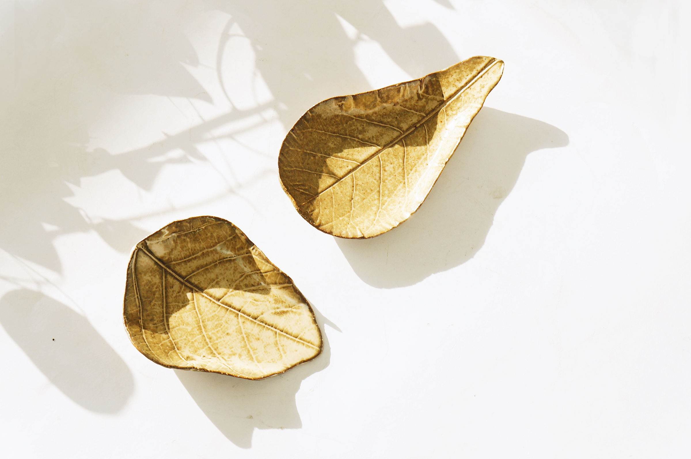 leafx4